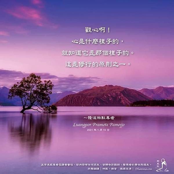 S__13058158.jpg S__13058158.jpg