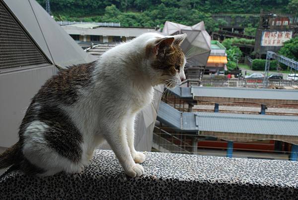 DSC_4289.JPG DSC_4289.JPG