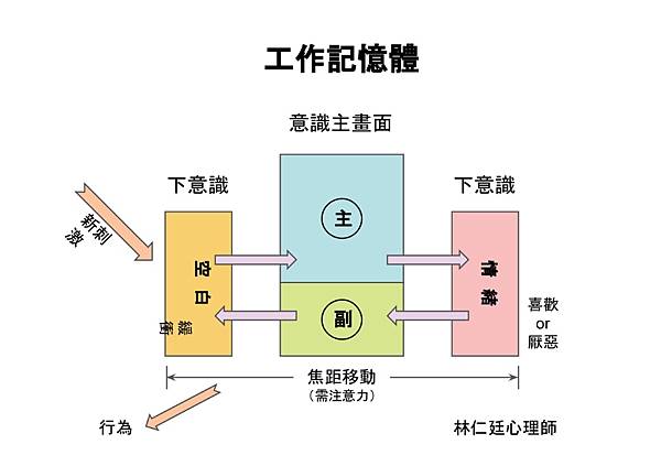 ADHD工作記憶體.jpg