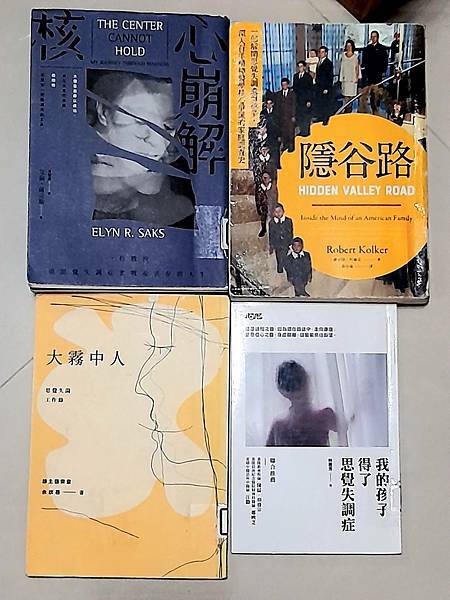 【思覺失調】判斷上並不只是幻聽幻覺