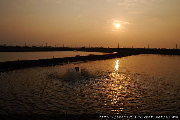 永安魚塭 (1).JPG