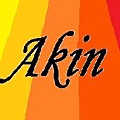 akinlogo