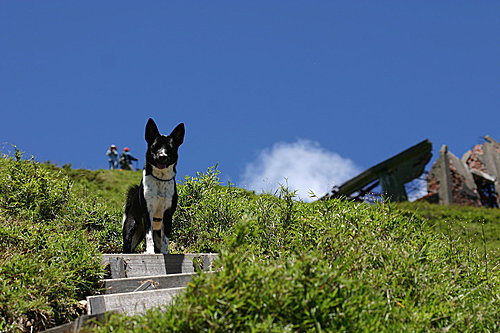 小熊高山之旅