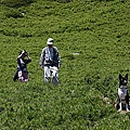 小熊高山之旅