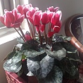 20110226259.jpg