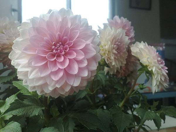 20110308278.jpg