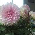 20110308278.jpg