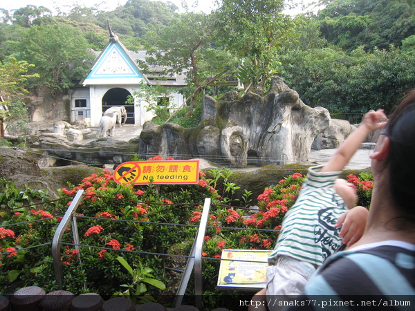 Taipei  zoo 107.jpg