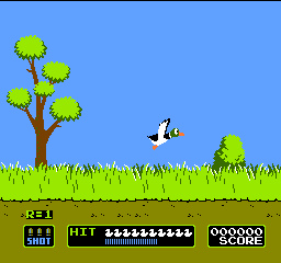 Duck Hunt