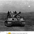 Tiger831-1943.04-1