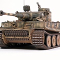 Tiger-Model
