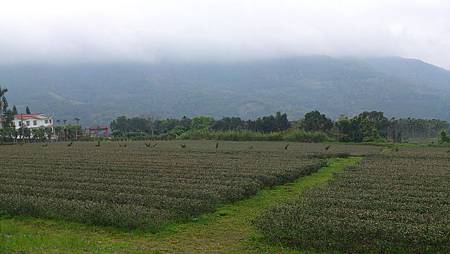 Hualien0219_06.JPG