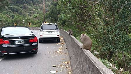 Hualien0219_18.JPG