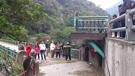 Hualien0219_19.JPG