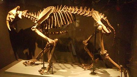 DSC_0001.JPG DSC_0001.JPG