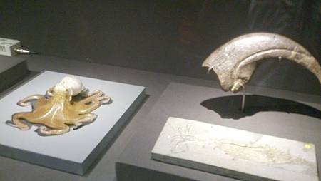 DSC_0038.JPG DSC_0038.JPG