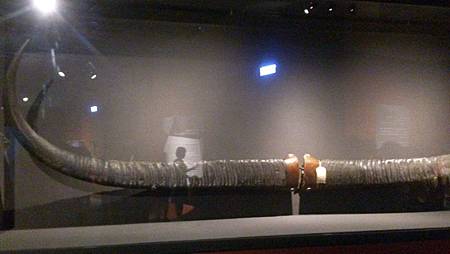 DSC_0042.JPG DSC_0042.JPG