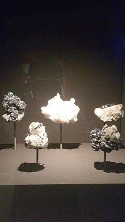 DSC_0047.JPG DSC_0047.JPG