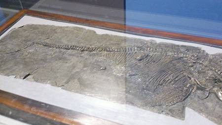 DSC_0065.JPG DSC_0065.JPG