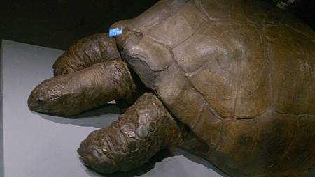 DSC_0074.JPG DSC_0074.JPG