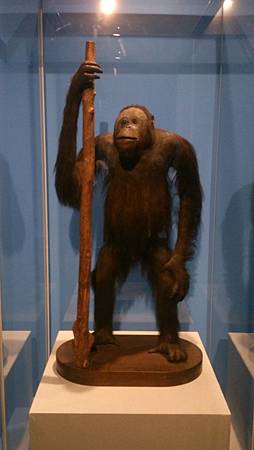 DSC_0076.JPG DSC_0076.JPG