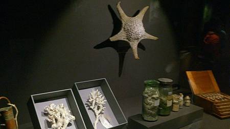 DSC_0078.JPG DSC_0078.JPG