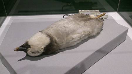 DSC_0079.JPG DSC_0079.JPG