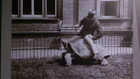 DSC_0082.JPG DSC_0082.JPG