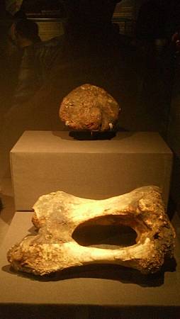 DSC_0096.JPG DSC_0096.JPG