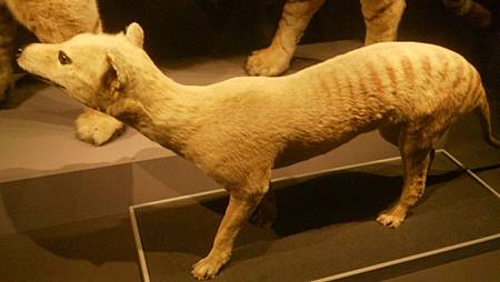 DSC_0100.JPG DSC_0100.JPG