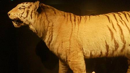 DSC_0101.JPG DSC_0101.JPG