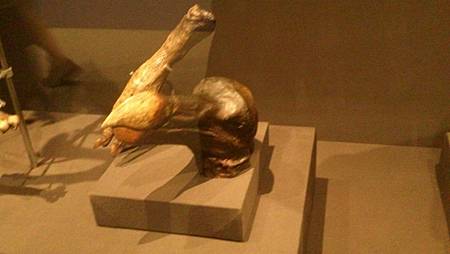 DSC_0105.JPG DSC_0105.JPG