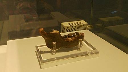 DSC_0106.JPG DSC_0106.JPG