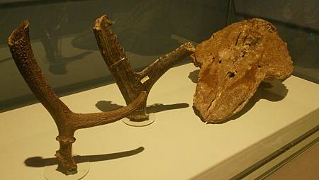 DSC_0108.JPG DSC_0108.JPG