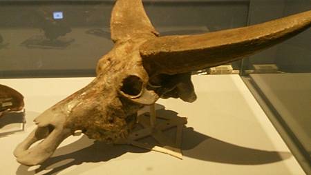 DSC_0111.JPG DSC_0111.JPG