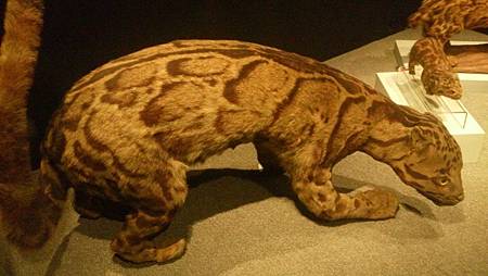 DSC_0112.JPG DSC_0112.JPG