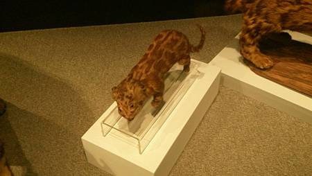 DSC_0114.JPG DSC_0114.JPG