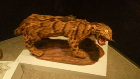 DSC_0115.JPG DSC_0115.JPG