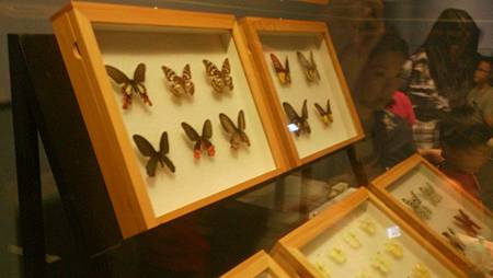 DSC_0116.JPG DSC_0116.JPG