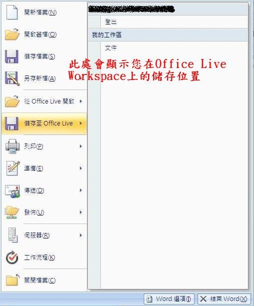Office Live Workspace 03.JPG