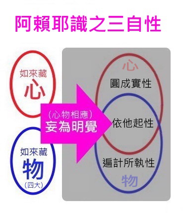 阿賴耶識之三自性.jpg