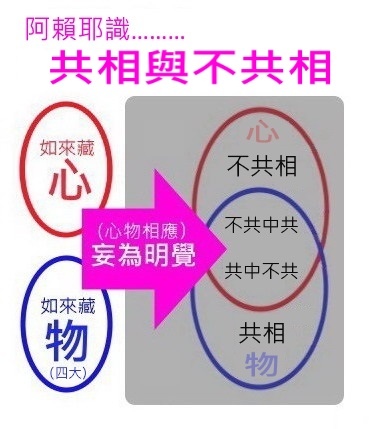 阿賴耶識之共與不共.jpg