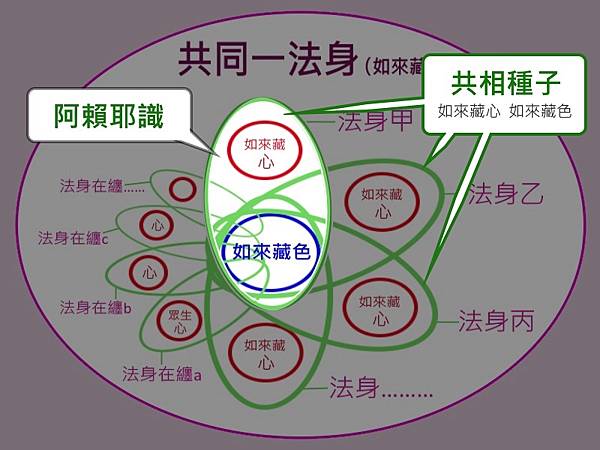 阿賴耶識共相種子.jpg