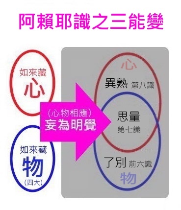 阿賴耶識之三能變.jpg