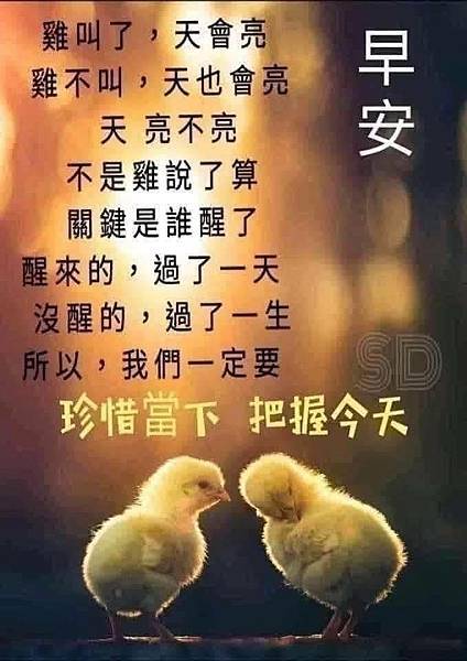 佛法是零概念？ 本來無一物？ 天，亮不亮，不是雞說了算。