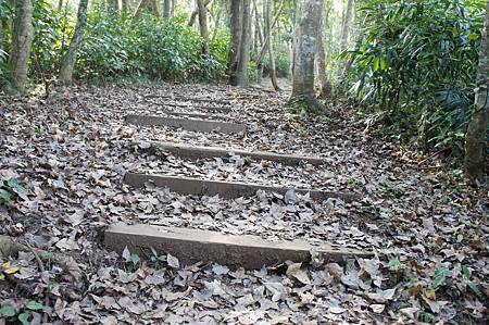 朝陽步道