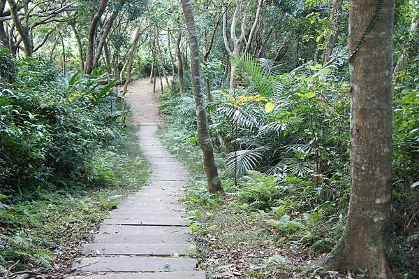 朝陽步道