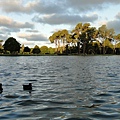 Hagley Park II