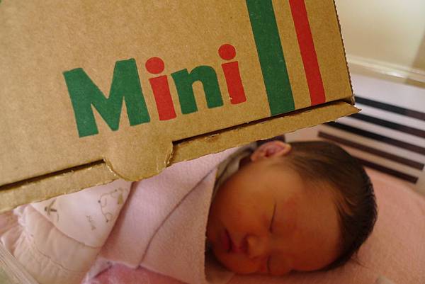 P1390606.JPG P1390606.JPG