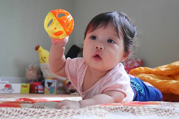 P1000827.JPG P1000827.JPG